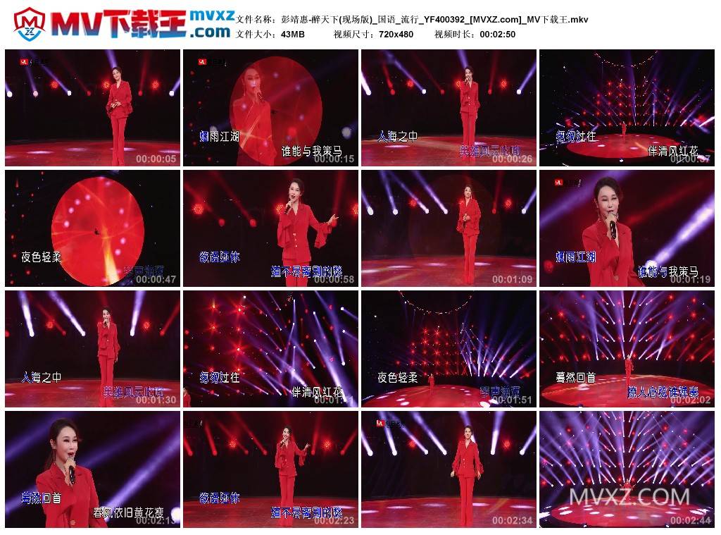 彭靖惠-醉天下(现场版)_国语_流行_YF400392